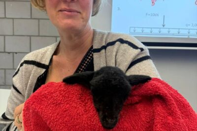 Wir wünschen einen schönen zweiten Advent